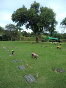 Jazigo 3 Gavetas Taxa Inclusa Área Nobre Cemitério Pq Iguaçu