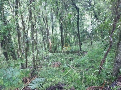 Terreno à venda, 1500 m² por r$ 149.997,00 - estância santa maria do portão - atibaia/sp