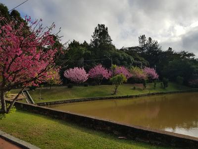 Casa Alto Padrão Condominio Jahu