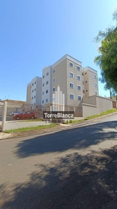 Apartamento em Oficinas, Ponta Grossa/PR de 55m² 3 quartos à venda por R$ 199.000,00