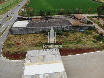 Terreno em Cará-cará, Ponta Grossa/PR de 10m² para locação R$ 4.500,00/mes