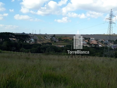Terreno em Chapada, Ponta Grossa/PR de 10m² à venda por R$ 3.498.000,00