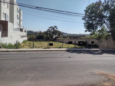 Terreno em Dom Bosco, Jaguariúna/SP de 0m² à venda por R$ 1.099.000,00