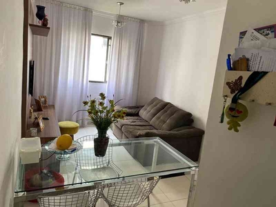 Apartamento com 3 quartos à venda no bairro Santa Amélia, 58m²