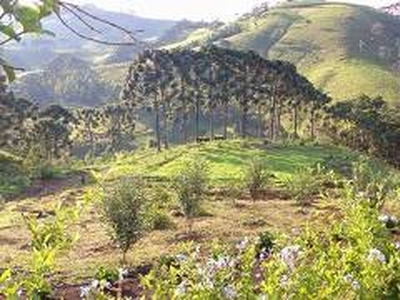 Fazenda / Sítio / Chácara à venda, 20000m² - Zona Rural