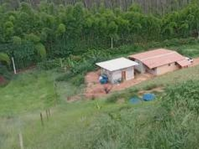 Fazenda / Sítio / Chácara com 2 Quartos à venda, 4228m² - Pedro do Rio