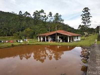 Fazenda / Sítio / Chácara com 4 Quartos à venda, 242000m² - Area Rural