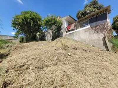 Terreno / Lote / Condomínio à venda, 137m² - Barreirinha