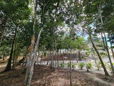 Terreno / Lote / Condomínio à venda, 500m² - Jardim Olhos d Água