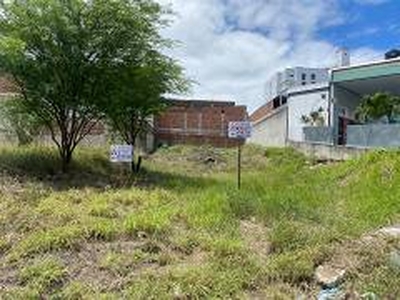 Terreno / Lote / Condomínio com 1 Quarto para venda ou aluguel, 420m² - Indianopolis