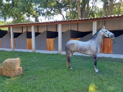 Chácara em Rincão Mimoso (Itaipuaçu), Maricá/RJ de 150m² 1 quartos à venda por R$ 349.000,00