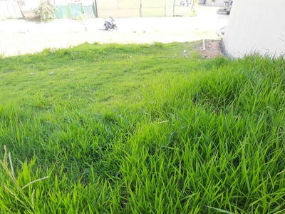Terreno em Jardim Semiramis, Cotia/SP de 0m² à venda por R$ 309.000,00