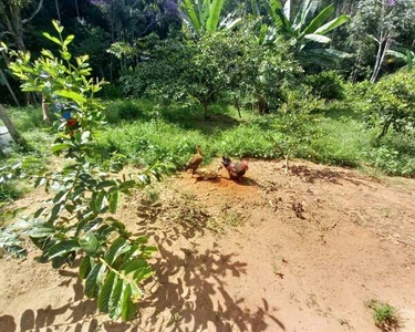 Granja com água e luz