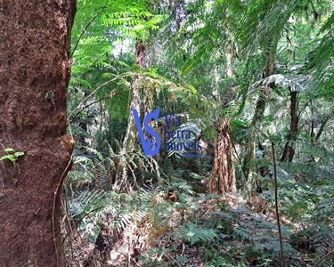 Terreno no Alpes de São Francisco, em São Francisco de Paula/RS!