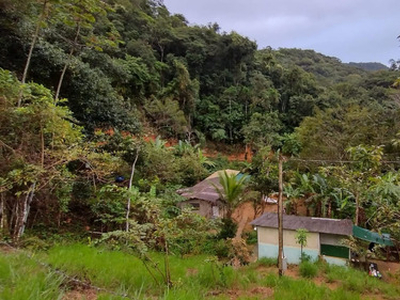 Sitio/terreno 4500m2 Ubatuba.