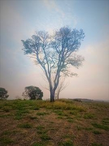 Terreno / Lote / Condomínio à venda, 500m² - Bairro do Menin