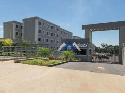 Apartamento com 2 dormitórios à venda, 48 m² por r$ 187.000,00 - jardim alvorada - cambé/pr