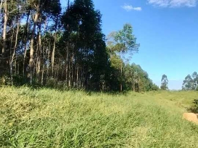 Terreno em Igaratá Com Ótima Topografia