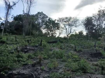 TERRENO EM SANTARÉM MARARU