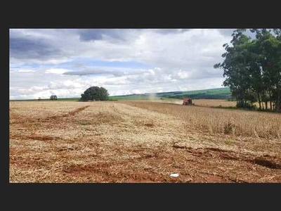 Fazenda em perdizinha 65 hectares 6.000.000.00 ( od