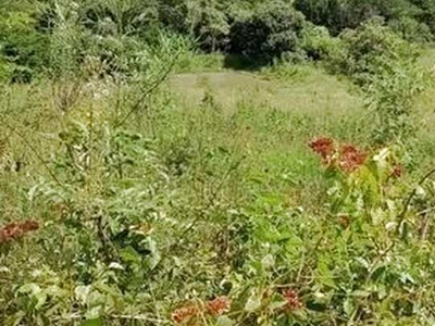 Chácara em Nova Laranjeiras (9 km da cidade