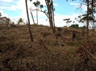 Fazenda À Venda 34 Hectares.