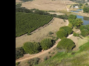 Fazenda De Café Produtiva Com Infraestrutura Completa Em Minas Gerais - Excelente Investimento