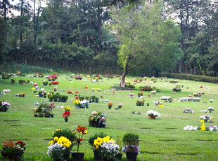 Jazigo Triplo Nunca Utilizado No Cemitério Do Morumby