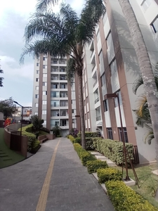 Apartamento em Vila Amélia, São Paulo/SP de 52m² 2 quartos à venda por R$ 252.000,00