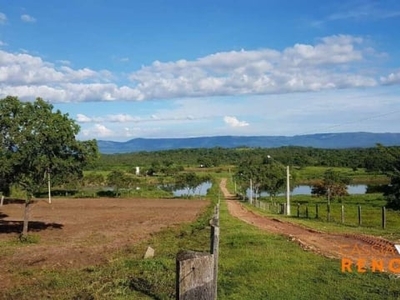 Fazenda aptidão pecuária e piscicultura na região de poconé - mt