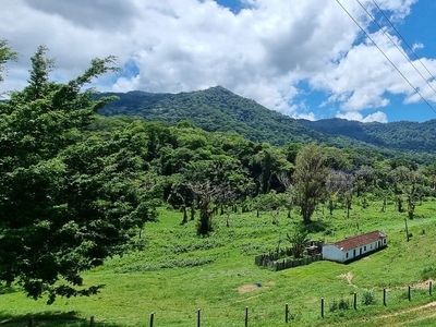Fazenda em Zona Rural, Coaraci/BA de 10m² à venda por R$ 2.799.000,00