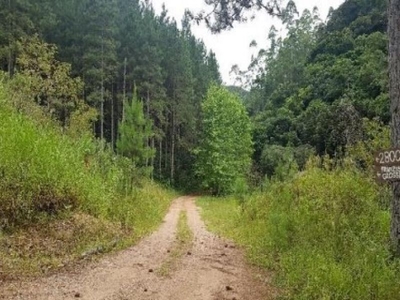 Terreno em Rio Herta, Rio dos Cedros/SC de 0m² à venda por R$ 288.887,00