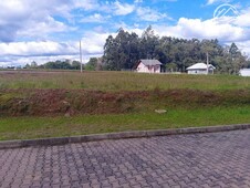 Terreno à venda no bairro Bom Jesus em Vera Cruz