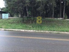 Terreno à venda no bairro Centro em Tijucas do Sul
