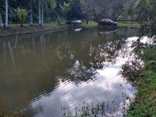 Fazenda à venda no bairro 500 metros da Rodovia em Juquiá