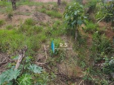 Terreno à venda no bairro caioçara em Jarinu
