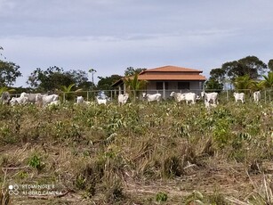 Fazenda - Riacho dos Machados, MG no bairro Zona Rural