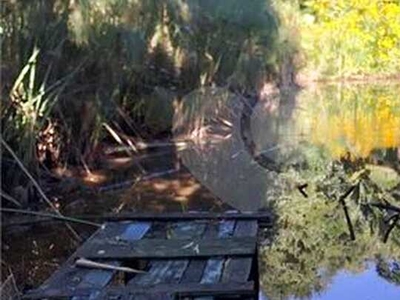 Casa para locação na Serra da Cantareira