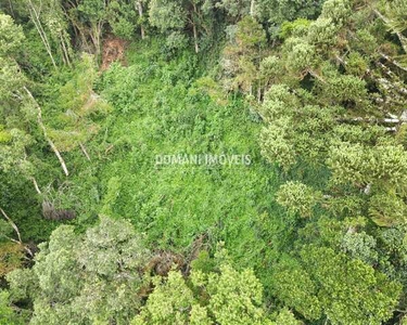 TERRENO RESIDENCIAL em CAMPOS DO JORDÃO - SP, Região do Alto da Vila Inglesa