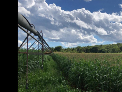 Fazenda Altamente Produtiva com Pivô Central em CORINTO MG