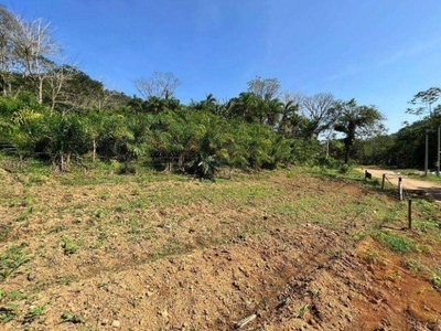 Terreno à venda, 3000 m² por r$ 180.000,00 - rio sagrado - morretes/pr