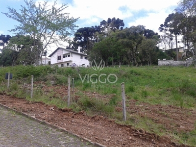 Terreno em Ana Rech, Caxias do Sul/RS de 803m² à venda por R$ 368.000,00