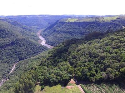 Terreno em Centro, Nova Pádua/RS de 35000m² à venda por R$ 109.000,00