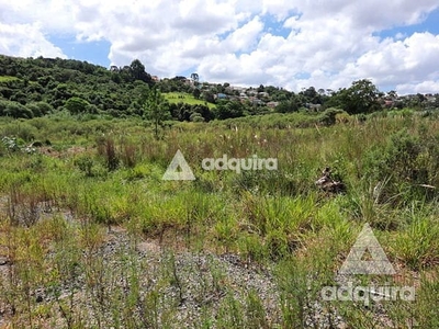 Terreno em Estrela, Ponta Grossa/PR de 10m² à venda por R$ 189.000,00