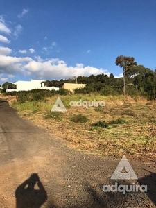 Terreno em Estrela, Ponta Grossa/PR de 10m² à venda por R$ 278.000,00