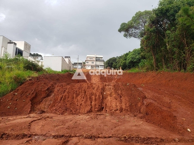 Terreno em Estrela, Ponta Grossa/PR de 10m² à venda por R$ 313.000,00