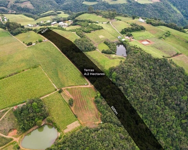 Terreno em Outras Localidades, Flores Da Cunha/RS de 20000m² à venda por R$ 224.000,00