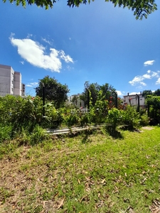 Terreno em Pio X, Caxias do Sul/RS de 318m² à venda por R$ 389.000,00