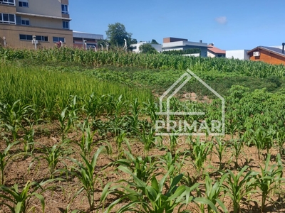 Terreno em Ponte Sêca, Carlos Barbosa/RS de 467m² à venda por R$ 329.000,00