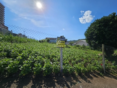 Terreno em Progresso, Bento Gonçalves/RS de 352m² à venda por R$ 498.000,00